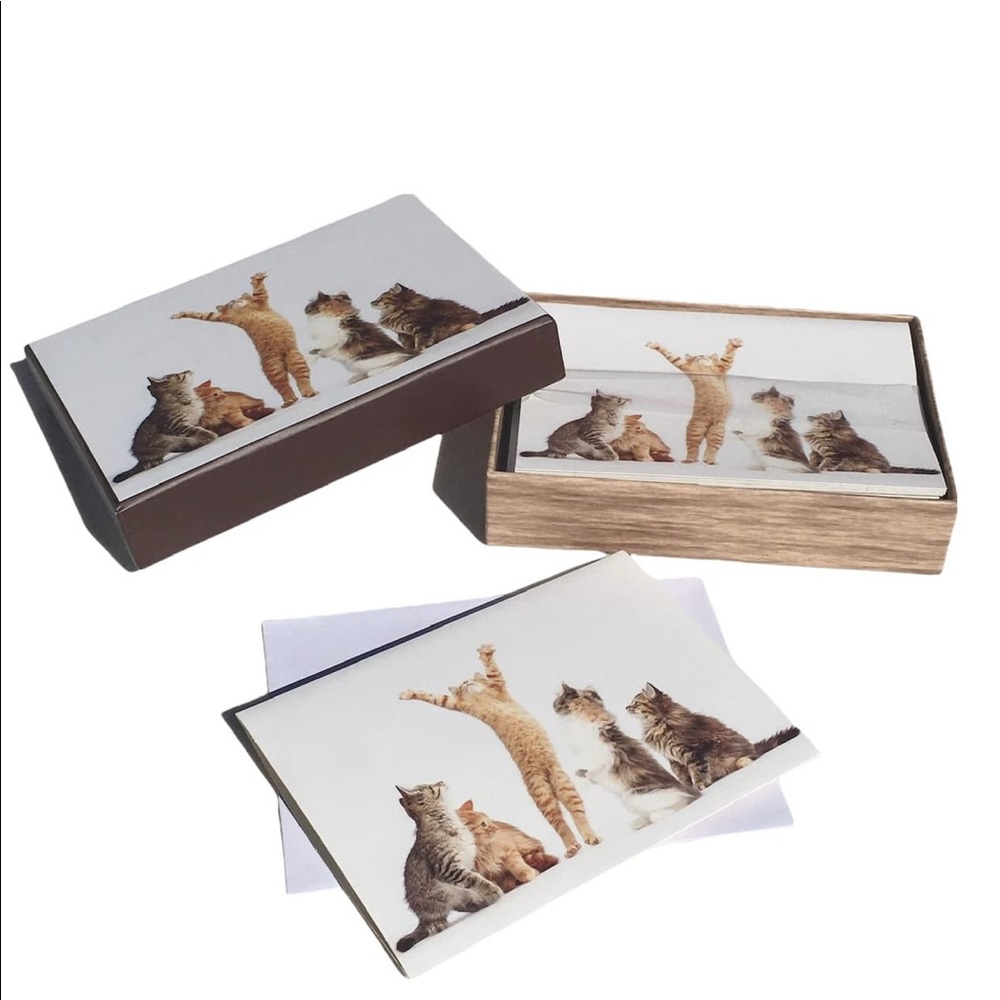 Crown Point Graphics Playful Kittens Boxed Note Cards (FNC91037), Set of 15